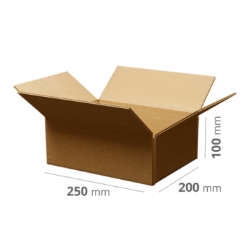 Pudełka klapowe 250x200x100 mm (dł. x szer. x wys.) 10 sztuk